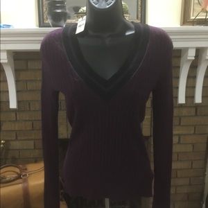 Express v neck sweater